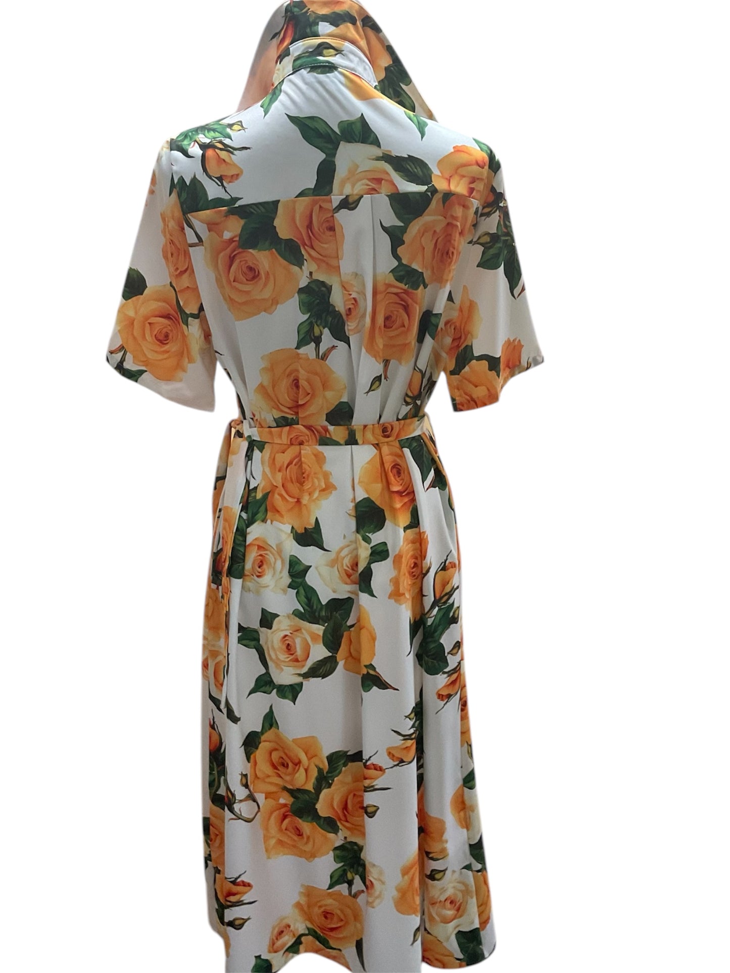 Vernazza Dress